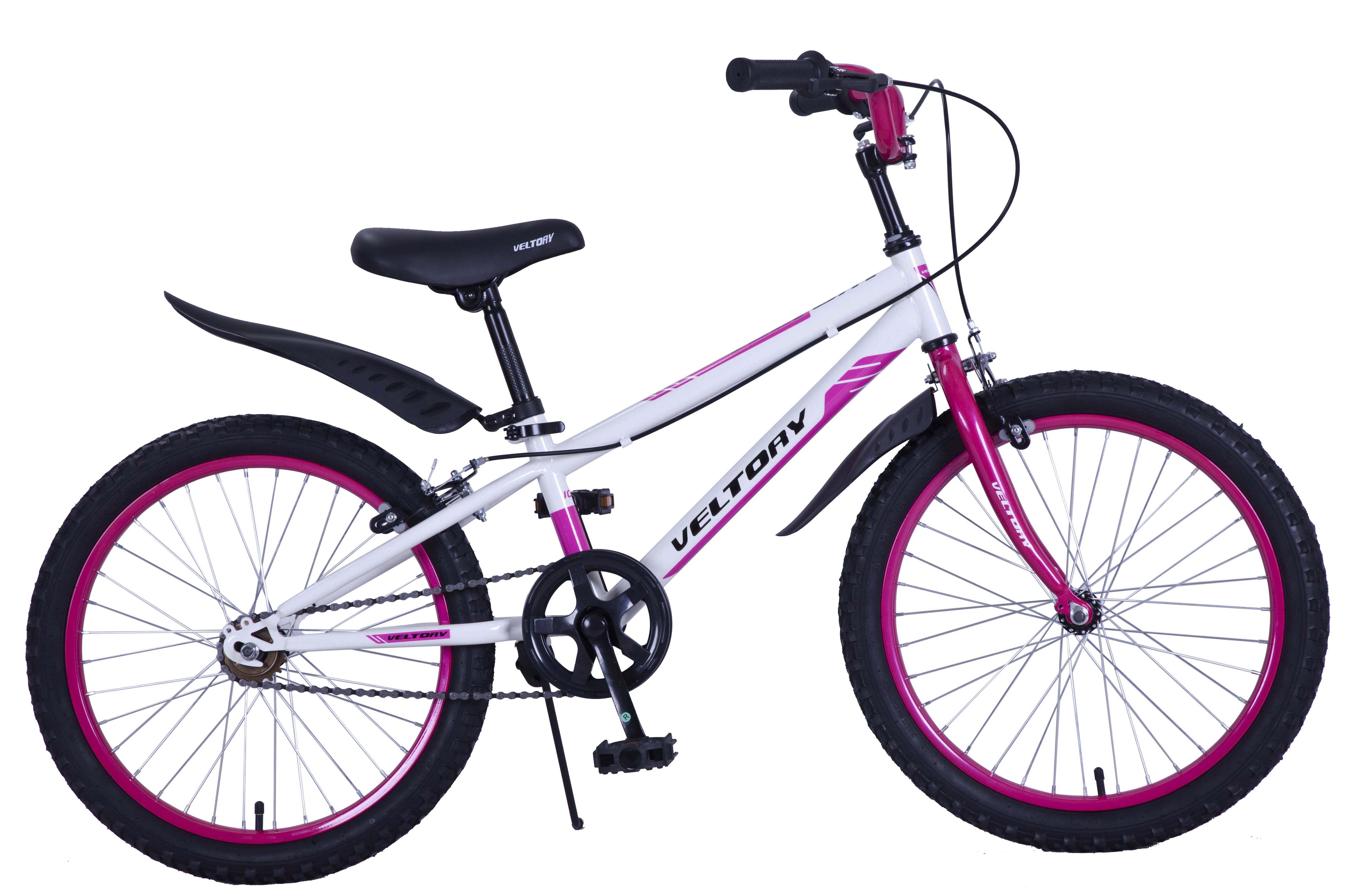 картинка Велосипед Veltory (20-901V) 2020г. от магазина Аистенок